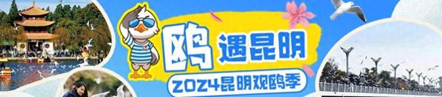 多位明星前来合影，不愧是昆明“顶流”~-1.jpg