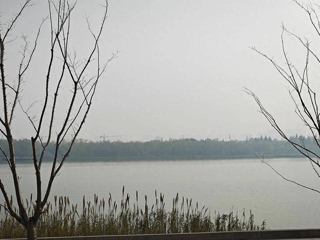 八卦-1.jpg