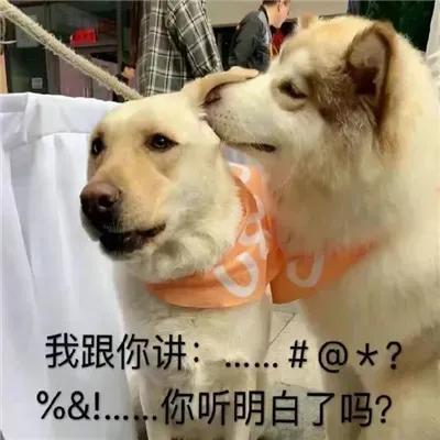 搞笑段子：极品笑话精选，笑一笑十年少-6.jpg