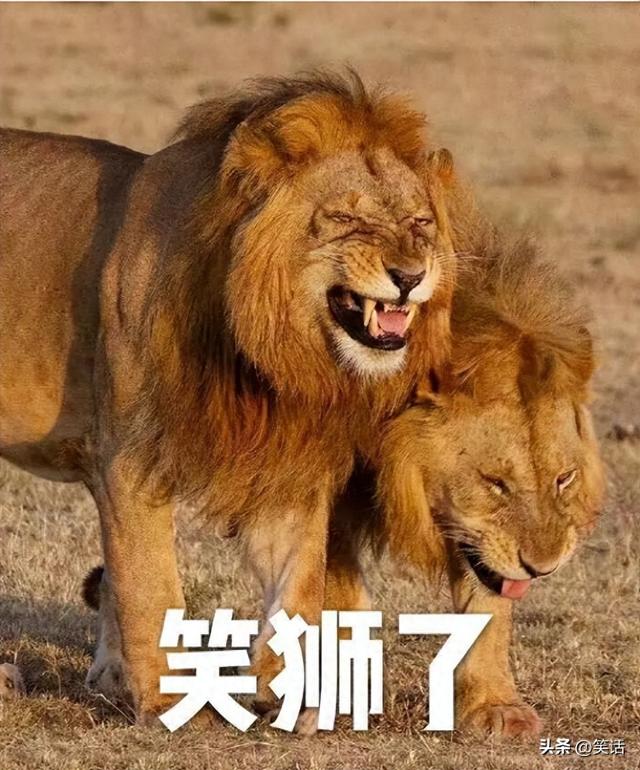最新热门笑话：要笑十二个小时，笑得快累死了-1.jpg