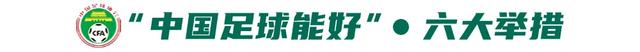 《对中国足球发展的几点思考》，作者：宋凯-8.jpg