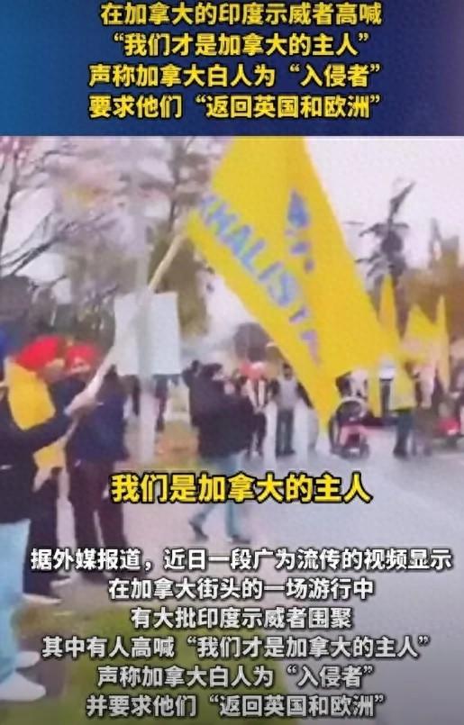 印度裔宣告：加拿大是我们的神圣领土，白人都滚回欧洲-1.jpg