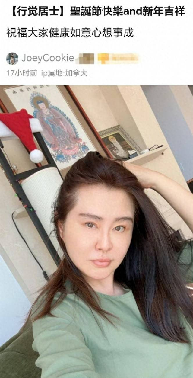 不工作不拍戏，在温哥华住16年的王祖贤，她的收入都是从何而来？-11.jpg