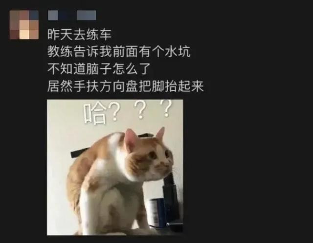 笑得肚子疼的沙雕搞笑梗图-6.jpg