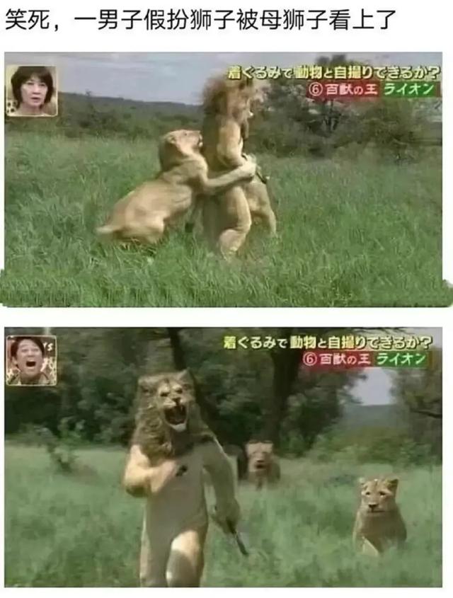 笑得肚子疼的沙雕搞笑梗图-13.jpg