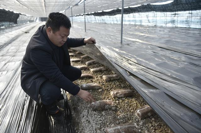 新华全媒头条丨农业科技兴  乡村生活美——“高质量发展调研行”聚焦全面推进乡村振兴-8.jpg