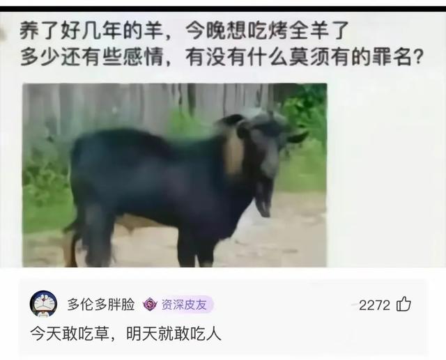 笑死人不偿命，网友们的段子能有多搞笑？-4.jpg