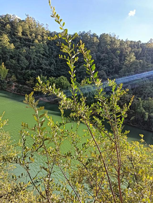 笑话-12.jpg