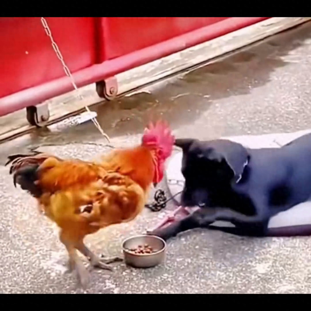 搞笑-1.jpg