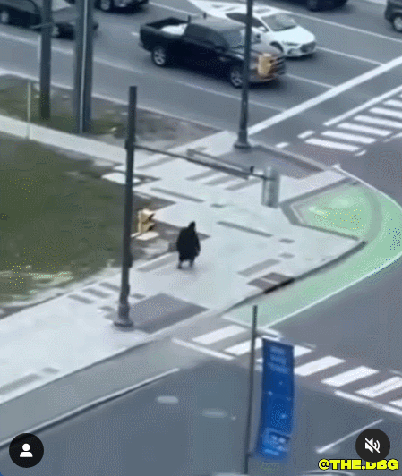 微信图片_20250511102602.gif