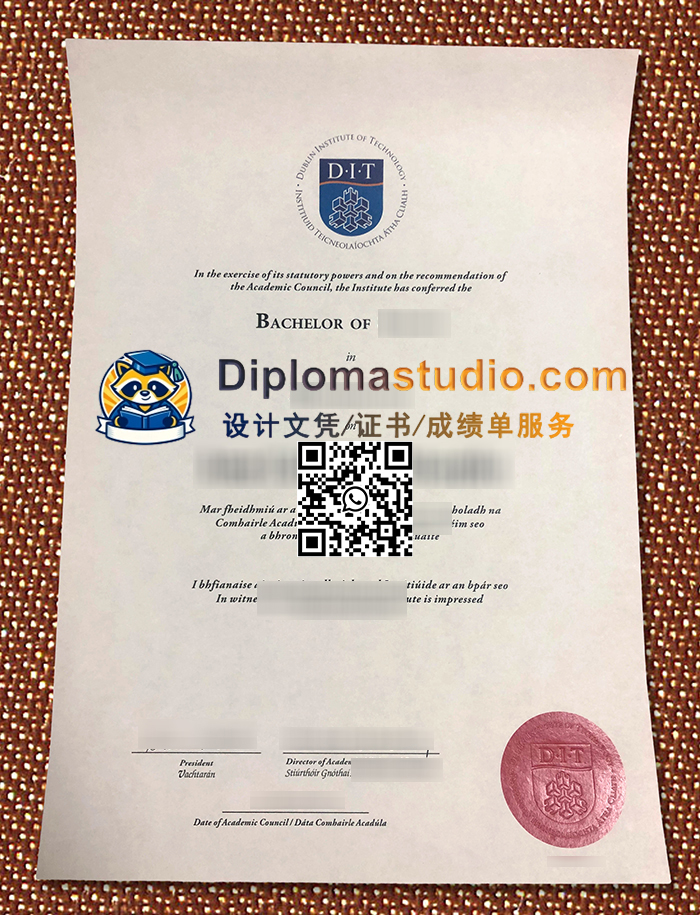 Dublin-Institute-of-Technology-Diploma-21.jpg